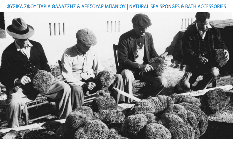 We sell Natural Sea Sponges Worldwide in bulk Spongean