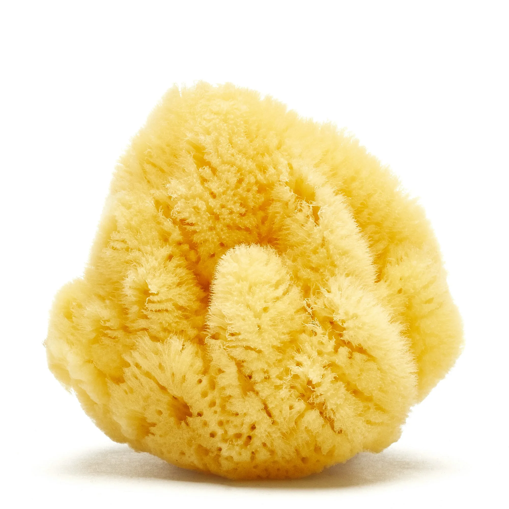 Natural Sponges - Silk & Wool