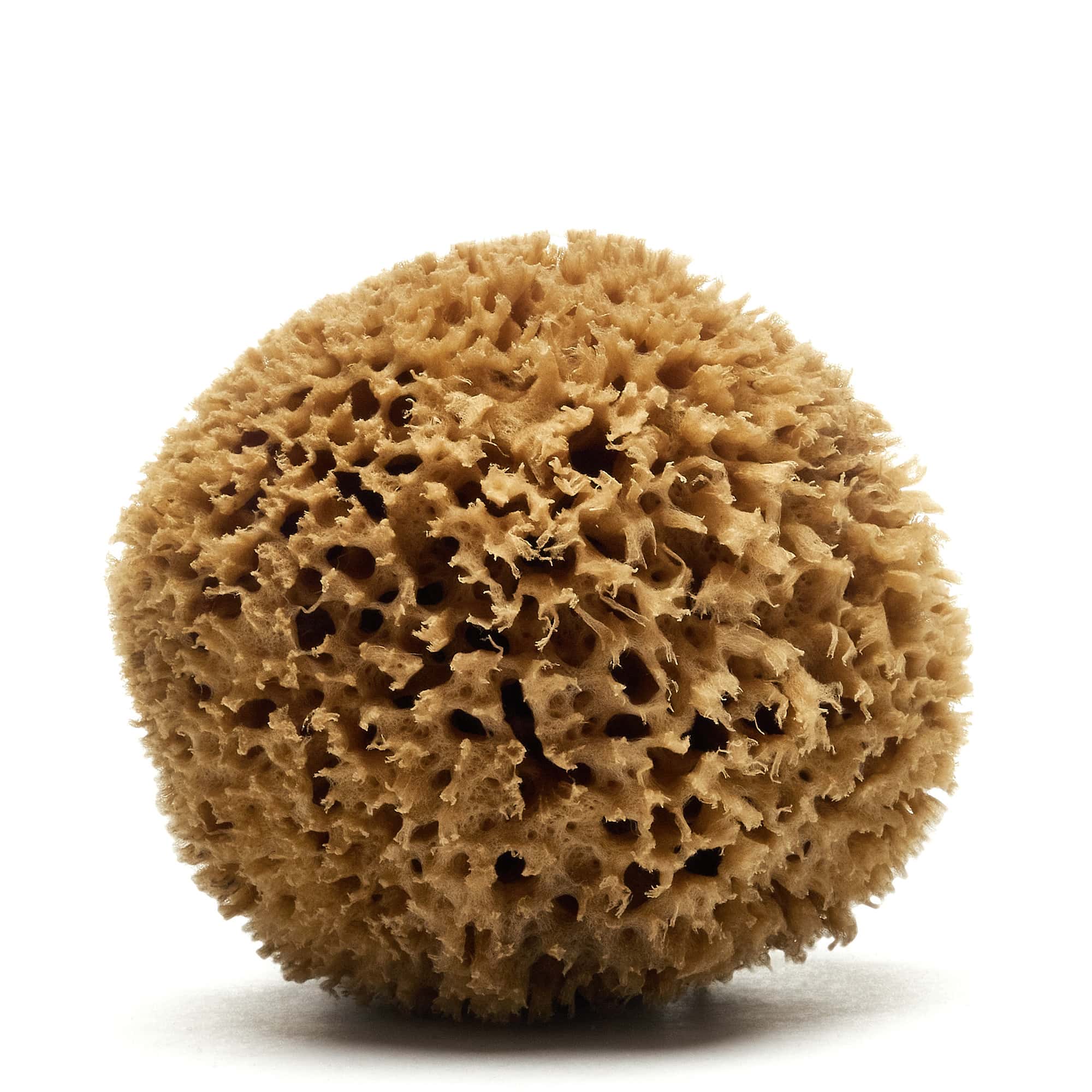 Honeycomb Greek sponge (Natural color)