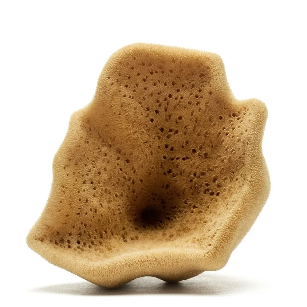 Elephant ear sponge (Natural Color)