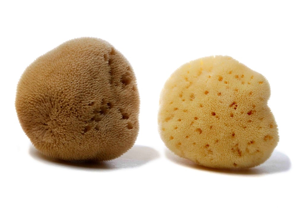 Silk Fine Mediterranean sea sponge (natural color & bleached)