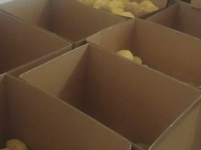 Carefully sorting sponges in cartons